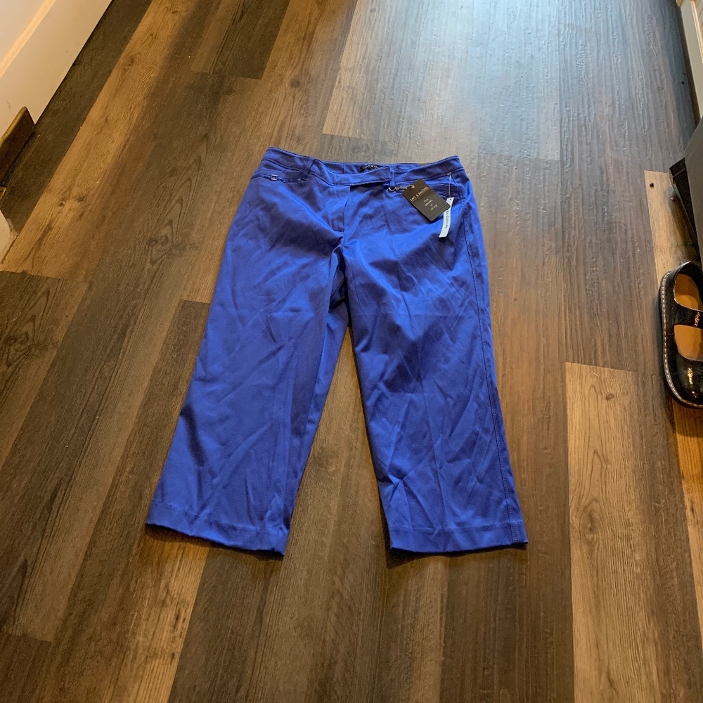 Zac and Rachel curvy fit capris‎ in dazzling blue. NWT. Retail 50